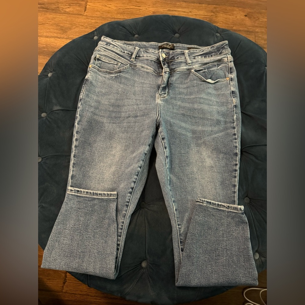 Judy Blue skinny fit jeans- size 20